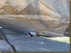 IMG_0365 IMG_0365
