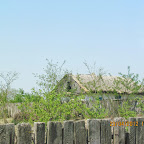 IMG_7221.JPG