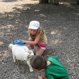 Bryan watching Hannah brush a goat at the Nashville Zoo 09032011b
