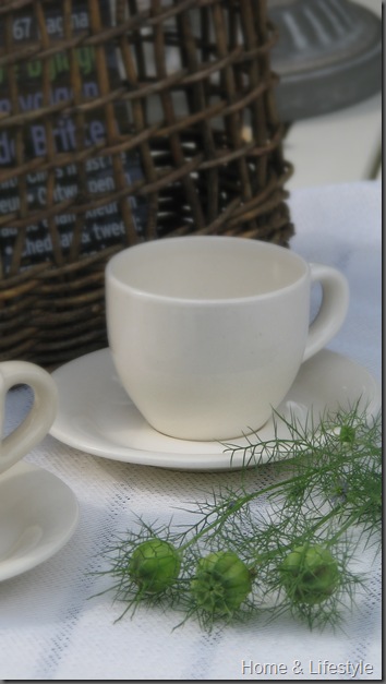 Home & Lifestyle Home & Lifestyle