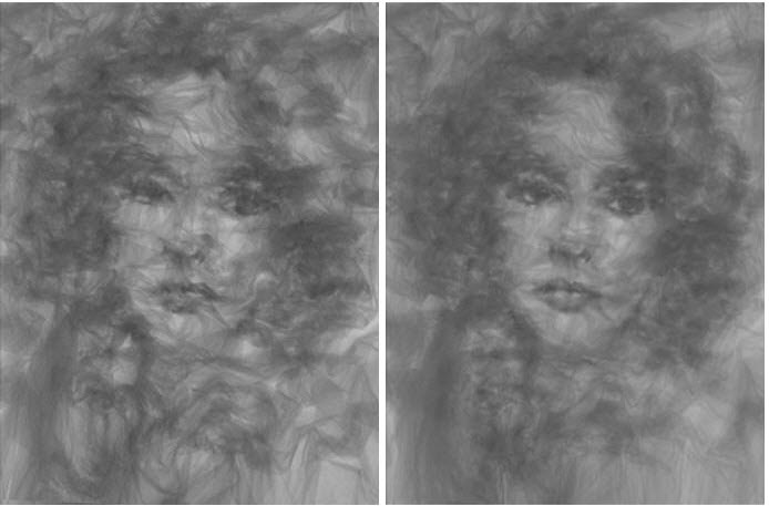tulle-portrait-2 tulle-portrait-2