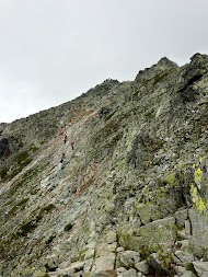 IMG_1405.jpg