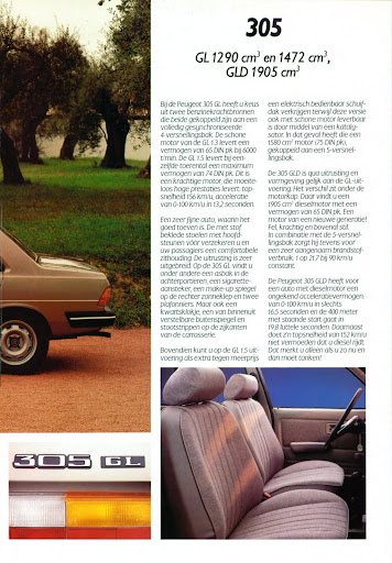 Peugeot_305_1987 (9).jpg