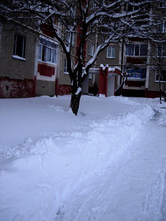 [DSCN43362.jpg]