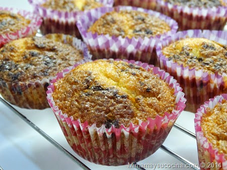 Magdalenas Caseras Receta Magdalenas Caseras Receta
