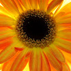 0IMG_6885.jpg
