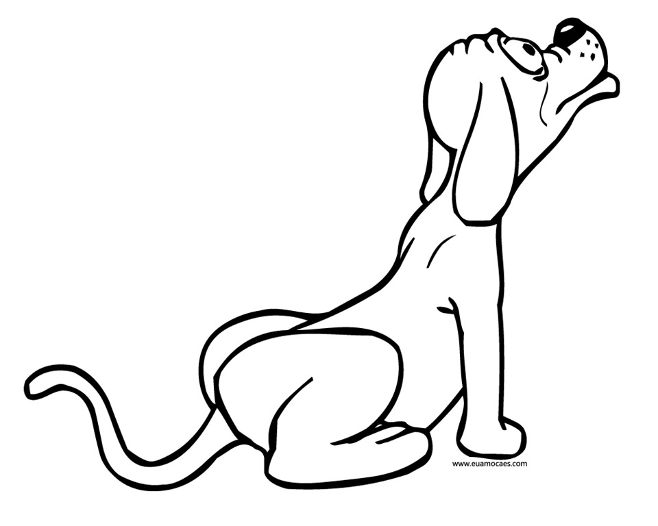 [Cachorro%252026%255B3%255D.jpg]
