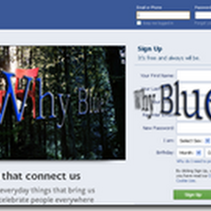 Why Facebook uses Blue Color?