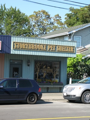 storybrooke pet shelter