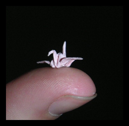[tiny%2520crane%255B4%255D.jpg]