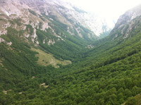 IMG_1351.JPG