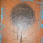 View album