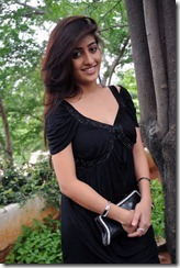 telugu-actress-anisha-singh-hot-still2