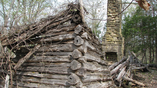 The remains of the cabin where Bernice Morrison was born in 1917
photo credit:  Michele Skalicky