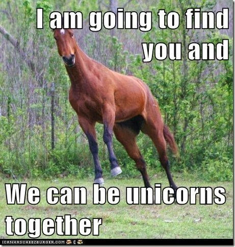 funny-animal-funny-horse-pictures-with-captions-24-50-funny-horse-pictures-with-captions
