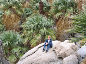 Kaiel resting at Mortero Palms