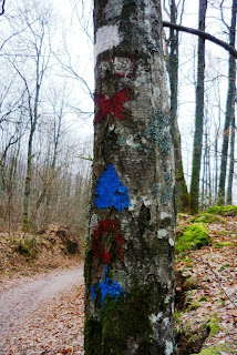 Art rupestre de l'âge du bronze ? Non, balises du Club Vosgien.