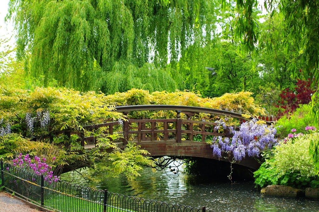 [spring-garden-bridge-park-beautiful-bridge-river-fence-plants-flowers-trees-weeping%255B6%255D.jpg]