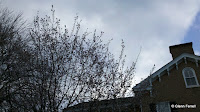 2011-12-23_14-18-14_639.jpg
