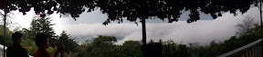 2011-04-13 13.35.42.jpg