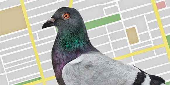 How Google Local Search Algorithm, Pigeon 2014 Works