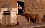 VOYAGE MONGOLIE - UN AN SUR LA ROUTE DU LAIT