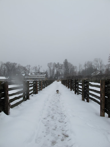 Where she would normally stay and bark at us for, what seems an eternity, she's already headed back to the comfort of home.16