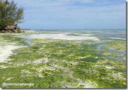 Kizimkazi Beach, Zanzibar