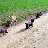 2003