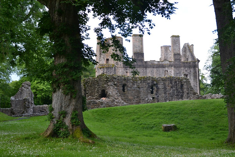 DSC_0075