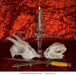 Two Skulls Of Animals And Dagger At The Burned Candle