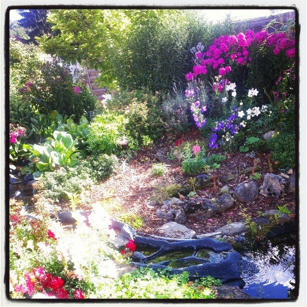 [Paradies%2520bei%2520meinen%2520Schwiegereltern%255B6%255D.jpg]