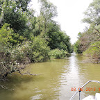 DSCN7190.JPG