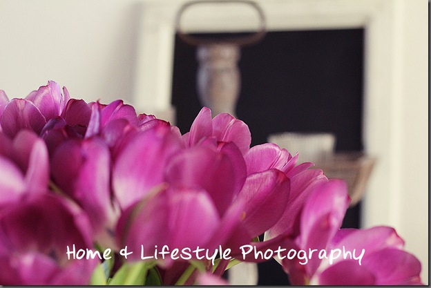 Home & Lifestyle Home & Lifestyle