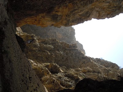 DSCN3951.jpg