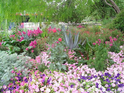 The silver accents are the perfect foil in this sea of pinks and purples. The colorful plantings there really set the garden apart from others.