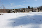Hey Donkeys!  It's Spring!