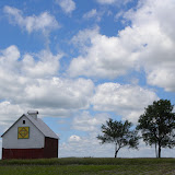 "Barn with Trees" - copyright David Thompson