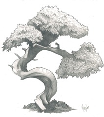 Bonsai_by_marc_mcfathead Bonsai_by_marc_mcfathead