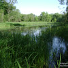 dsc03344.jpg