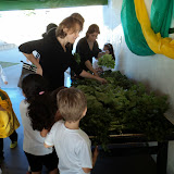 DSC02786.JPG