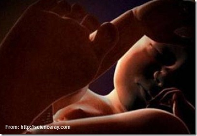 This 7-month fetus is sleeping quietly and peacefully in the mother’s womb
