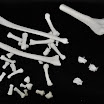 DSC_7397.JPG