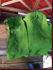 IMG_1135 IMG_1135