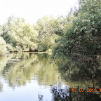 DSCN2805.JPG