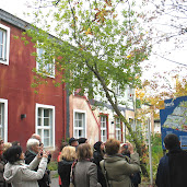 Collaborative housing projects
