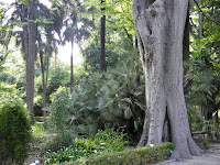 P5280750.JPG