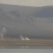 IMG_7862.JPG