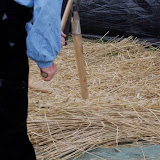 _MG_5696.JPG