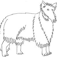 collie